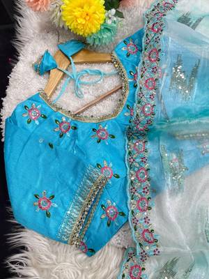 Blue Color embroidery work and sequence border Chiffon Saree 4