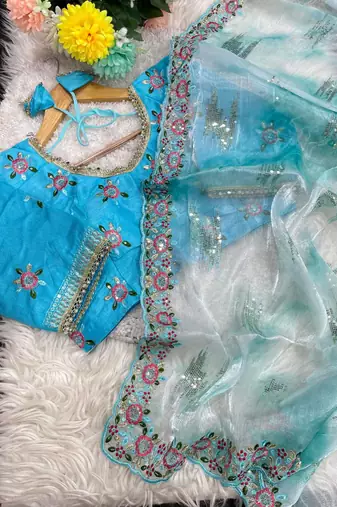 Blue Color embroidery work and sequence border Chiffon Saree