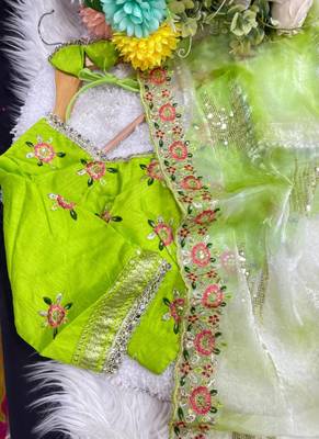 Parrot Green Color embroidery work and sequence border Chiffon Saree 4