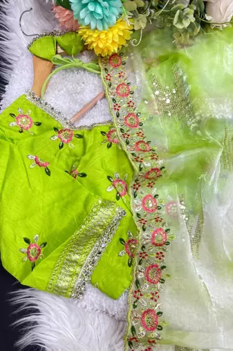 Parrot Green Color embroidery work and sequence border Chiffon Saree