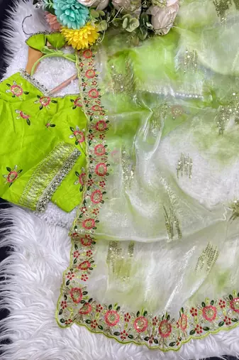 Parrot Green Color embroidery work and sequence border Chiffon Saree