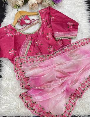 Pink Color embroidery work and sequence border Chiffon Saree 4