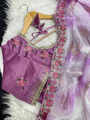 Purple Color embroidery work and sequence border Chiffon Saree 4
