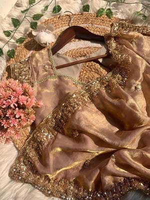 Light Pink Color hand mechine beats cutdana work Sartin Saree 5