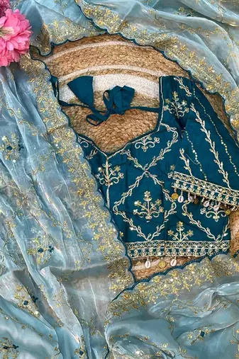 Sky Blue Color  embroidery sequence work Organza art silk saree