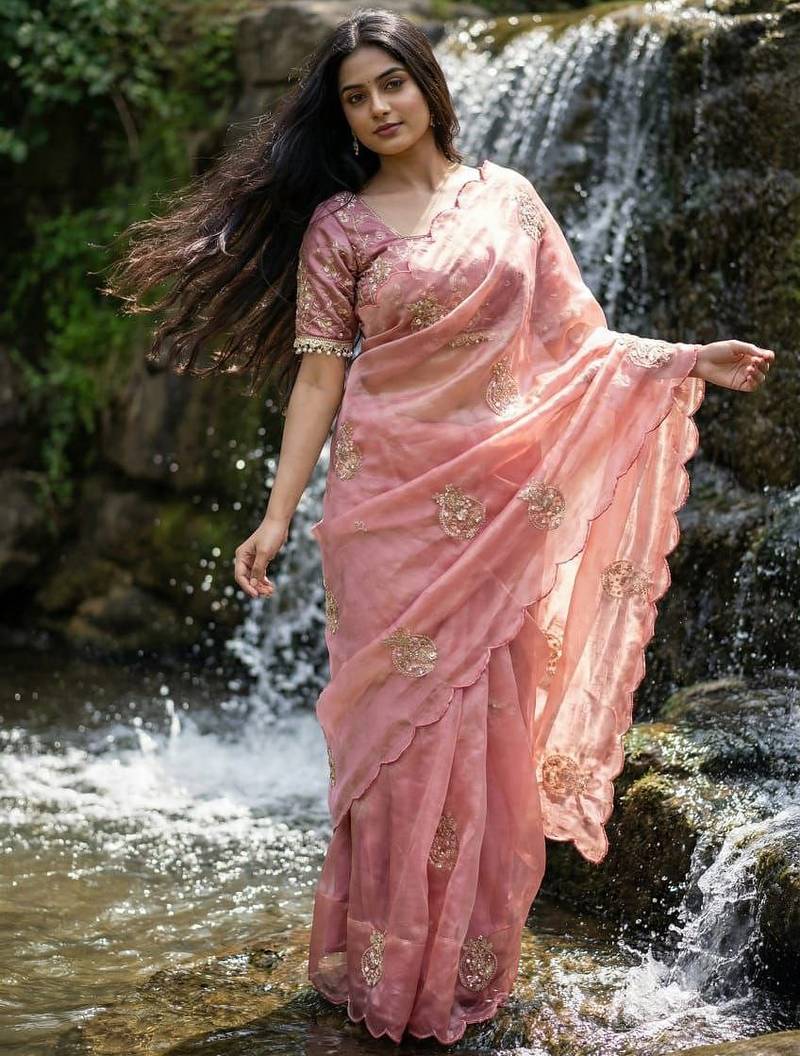 Peach Color embroidery beats work Silk Saree