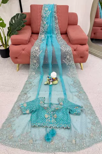 Sky Blue Color Thread & Sequin Embroidery Work Organza Silk  Saree
