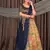 Navy Blue & Antique Gold Floral Digital Print Zari Tissue Lehenga