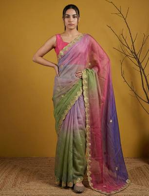 Multicolor ombre zari embroidery border work organza silk   1
