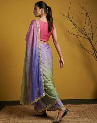 Multicolor ombre zari embroidery border work organza silk   2