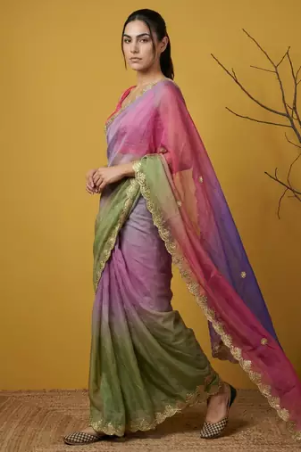 Multicolor ombre zari embroidery border work organza silk  