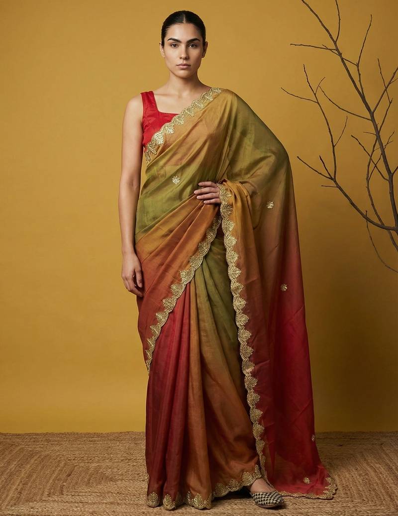 Multicolor ombre zari embroidery border work organza silk  