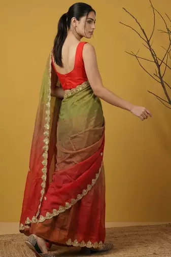 Multicolor ombre zari embroidery border work organza silk  