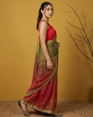 Multicolor ombre zari embroidery border work organza silk   3