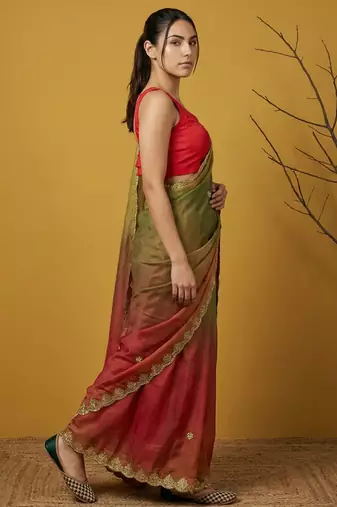 Multicolor ombre zari embroidery border work organza silk  