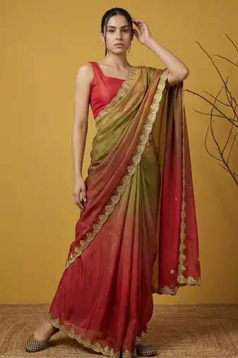 Multicolor ombre zari embroidery border work organza silk  