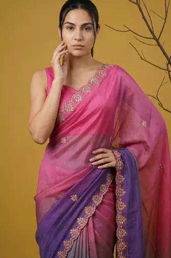 Multicolor ombre zari embroidery border work organza silk  
