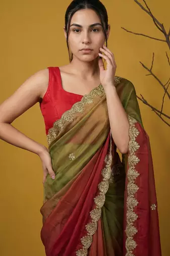 Multicolor ombre zari embroidery border work organza silk  