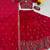 Red Georgette Embroidered Lehenga-free-size choli
