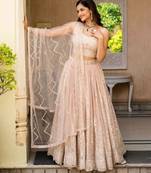 light Peach Net Lehenga