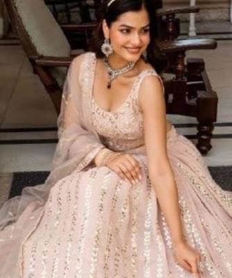 light Peach Net Lehenga 3