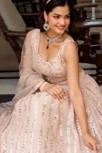 light Peach Net Lehenga