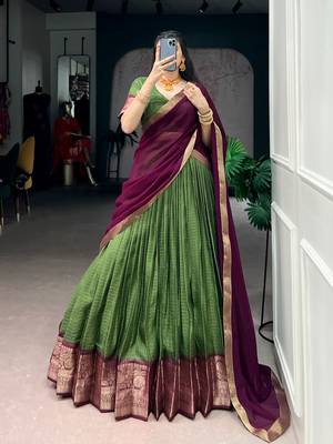 Festive Dola Chex Chex Zari Woven Chaniya Choli Set 1