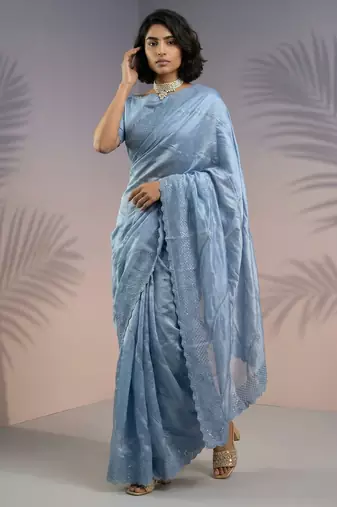 Blue thread & sequin embroidery border work organza silk  