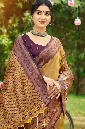 Brown woven soft silk blend trendy rich looks saree