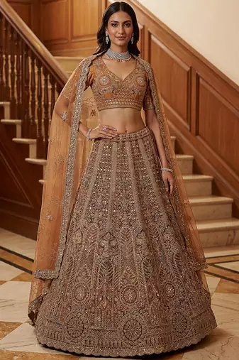 Sparkling Brown Multi Thread Work Net Reception Wear Lehenga Choli