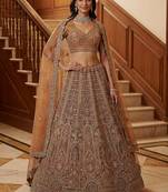 Sparkling Brown Multi Thread Work Net Reception Wear Lehenga Choli