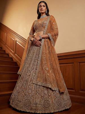 Sparkling Brown Multi Thread Work Net Reception Wear Lehenga Choli 2