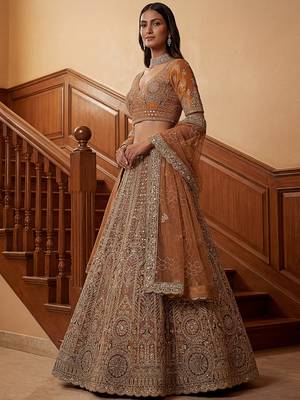 Sparkling Brown Multi Thread Work Net Reception Wear Lehenga Choli 4
