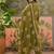 Green  printed kurta with trousers & dupatta set