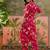 Pink printed kurta with trousers set