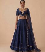 Navy Blue Embroidered Raw Silk Lehenga Set
