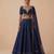 Navy Blue Embroidered Raw Silk Lehenga Set