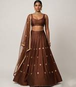 Brown Embroidered Silk Lehenga Set