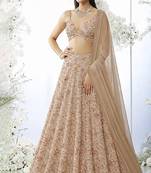 Beige Embroidered Net Lehenga Set