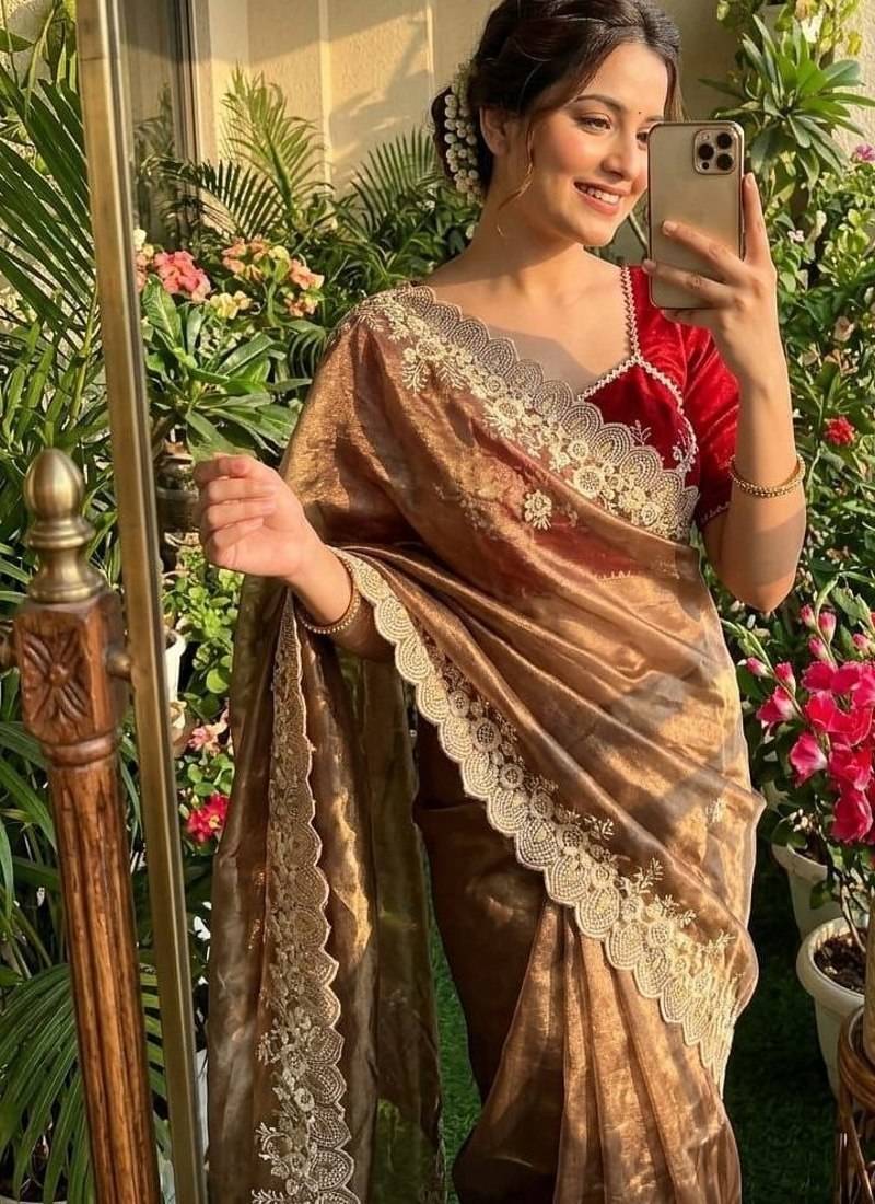 Golden Brown Color  embroidery thread work Tissue Organza Saree