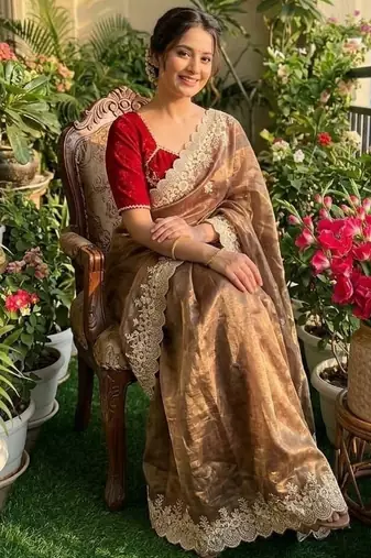 Golden Brown Color  embroidery thread work Tissue Organza Saree