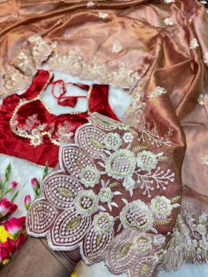 Golden Brown Color  embroidery thread work Tissue Organza Saree 4