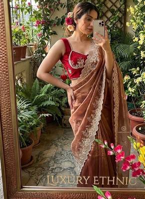 Warm Brown Color  embroidery thread work Tissue Organza Saree 1