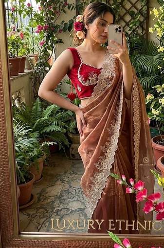 Warm Brown Color  embroidery thread work Tissue Organza Saree