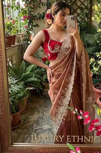 Warm Brown Color  embroidery thread work Tissue Organza Saree