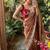 Warm Brown Color  embroidery thread work Tissue Organza Saree