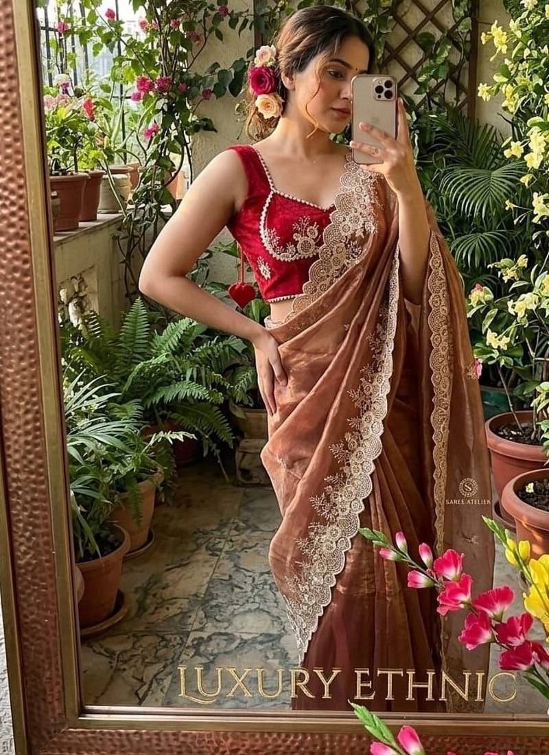 Warm Brown Color  embroidery thread work Tissue Organza Saree