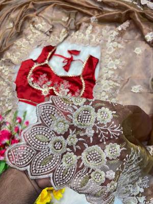 Warm Brown Color  embroidery thread work Tissue Organza Saree 3