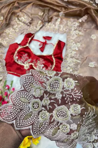 Warm Brown Color  embroidery thread work Tissue Organza Saree