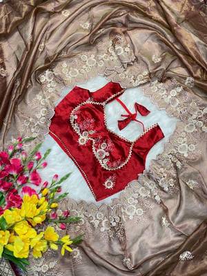 Warm Brown Color  embroidery thread work Tissue Organza Saree 4